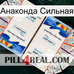 Анаконда Сильная kamagra1